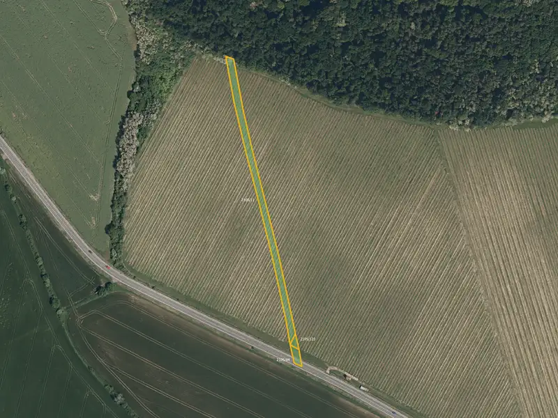 Prodej pole 9675 m², Sobůlky – náhled fotky 1