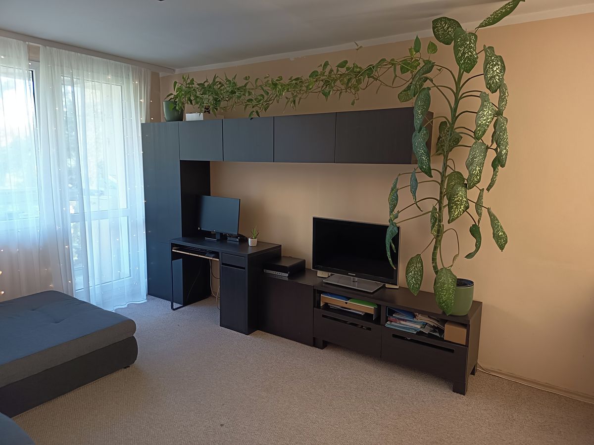 Prodej bytu 3+kk 54 m² – fotografie 4