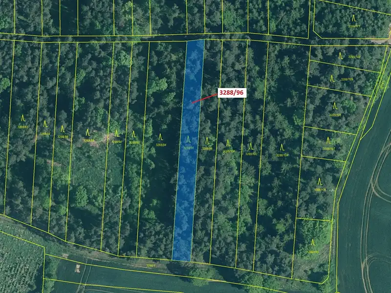 Dražba lesa 1630 m², Hosty – náhled fotky 2