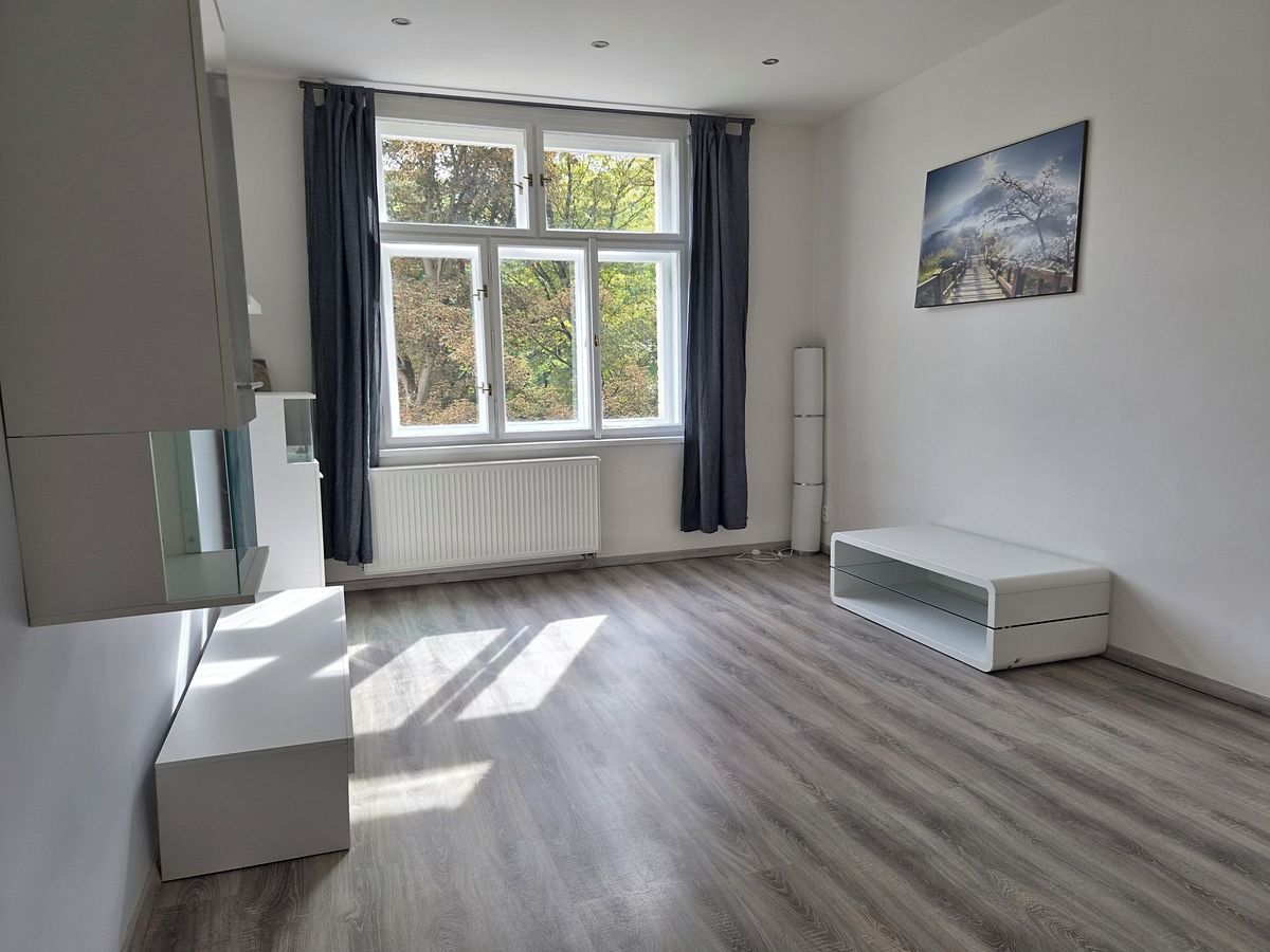 Pronájem bytu 2+1 59 m² – fotografie 3