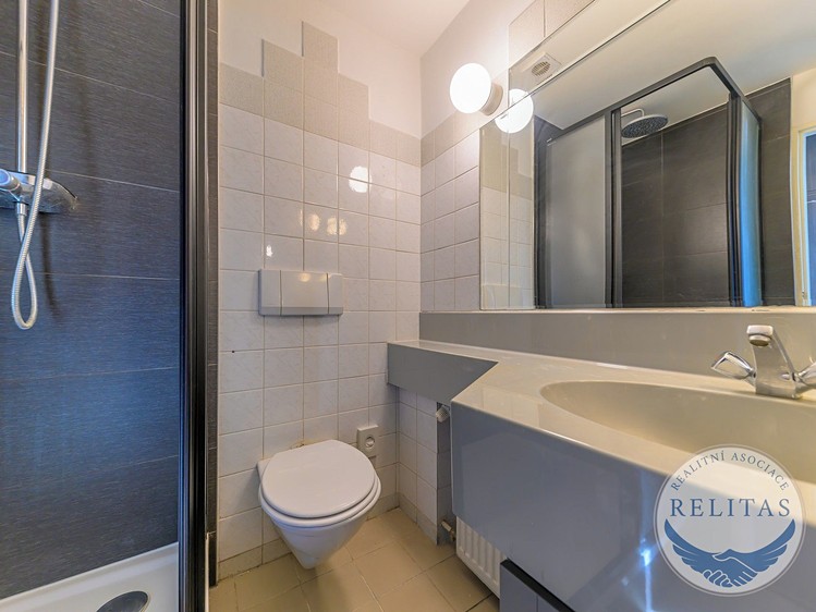 Prodej bytu 1+1, 30 m² (8 z 17)