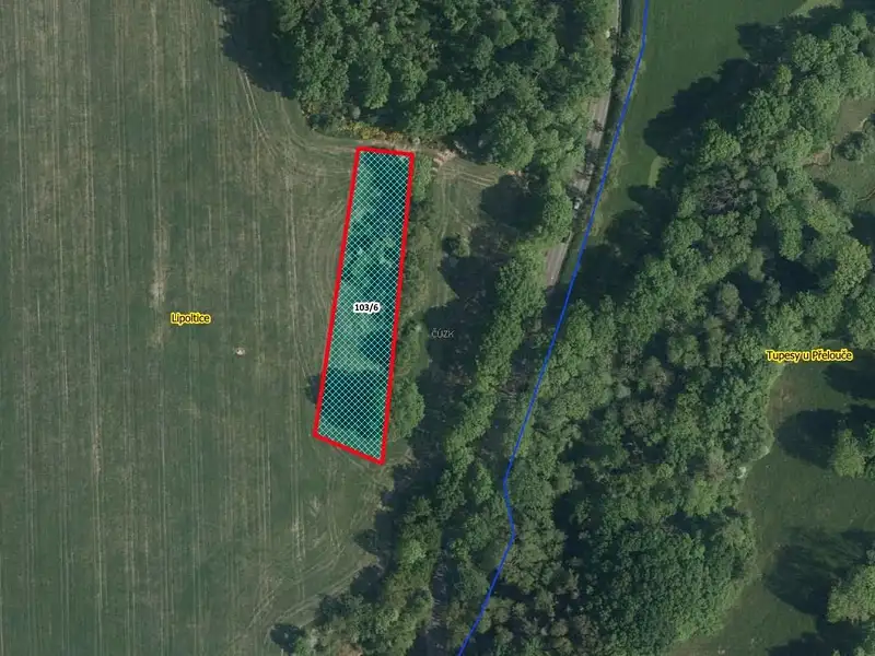 Prodej pole 2445 m², Lipoltice – náhled fotky 1
