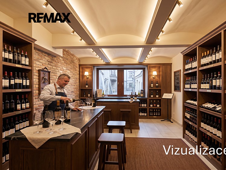 Prodej komerčního prostoru, 160 m² (7 z 20)
