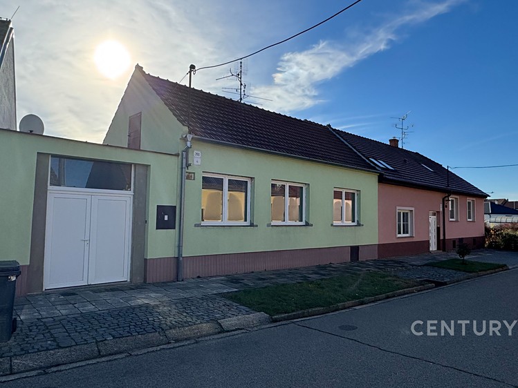 Haus zum Kauf, 204 m² (3 von 8)