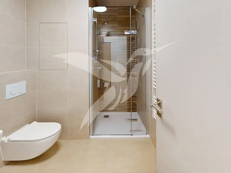 Pronájem bytu 1+kk 30 m², Plzeň – náhled fotky 3