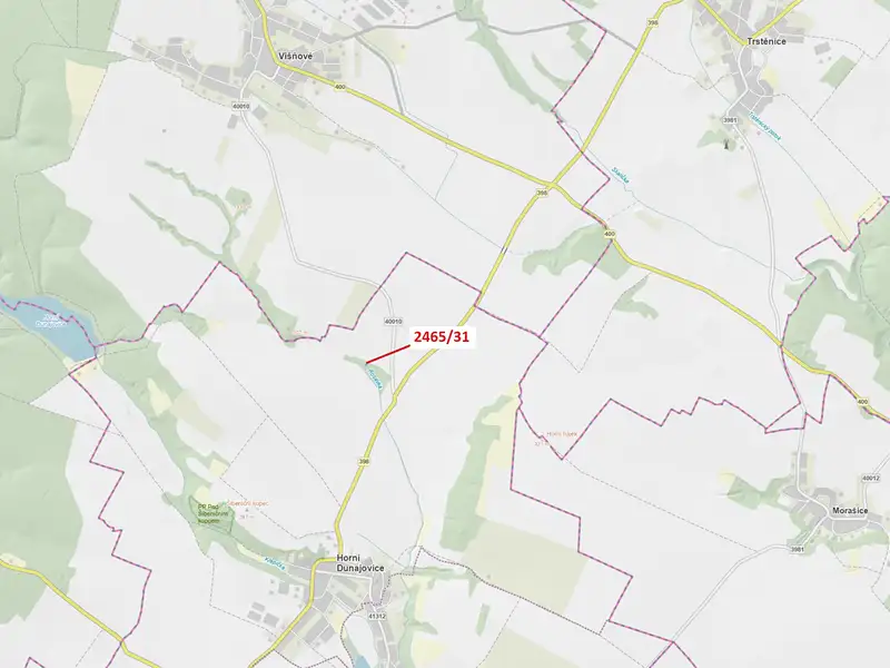 Dražba lesa 263 m², Horní Dunajovice – náhled fotky 1
