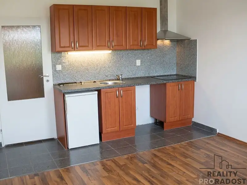 Pronájem bytu 1+kk 25 m², Praha – náhled fotky 1