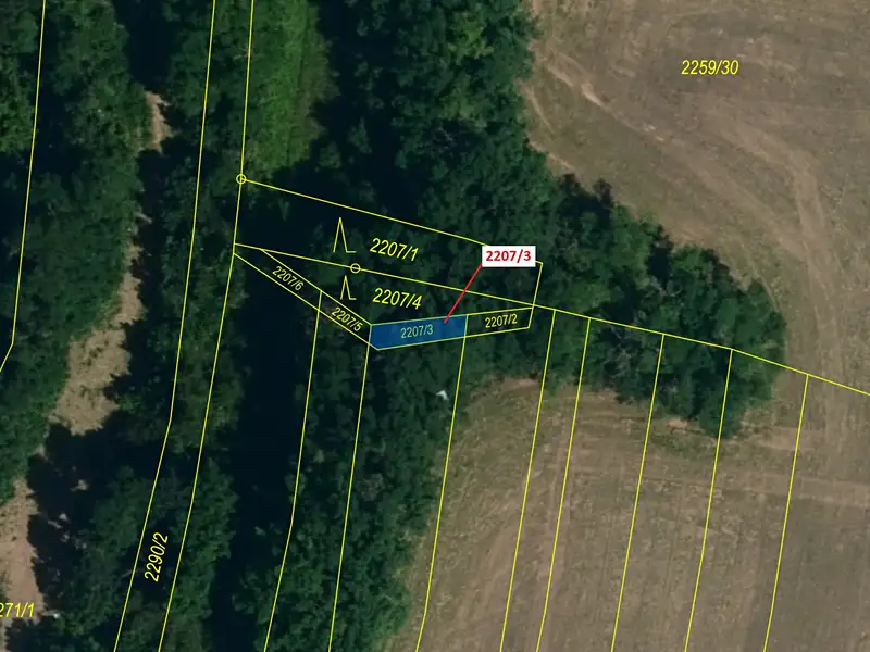 Dražba lesa 28 m², Horní Dunajovice – náhled fotky 2