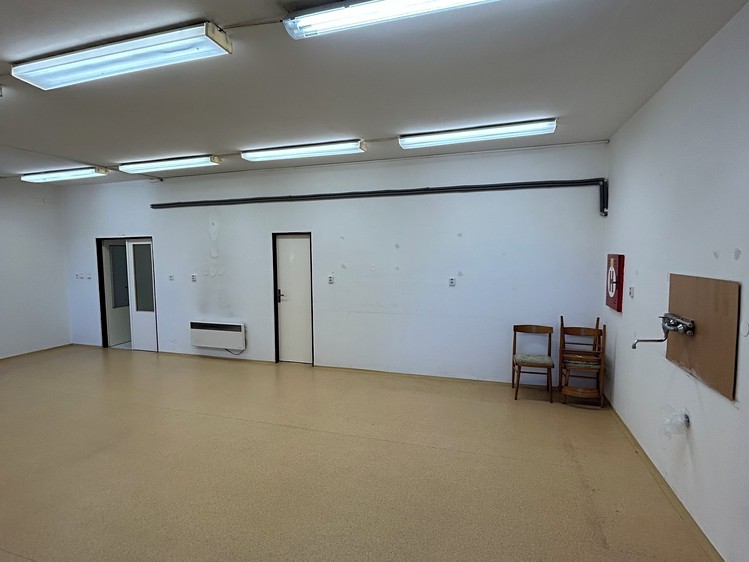 Prodej komerčního prostoru, 955 m² (23 z 43)