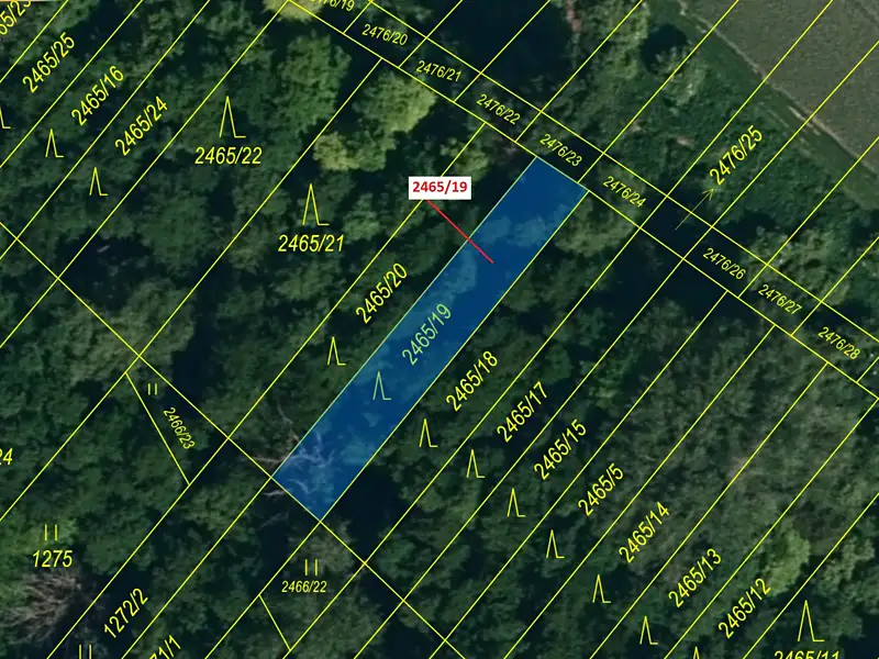 Dražba lesa 247 m², Horní Dunajovice – náhled fotky 2