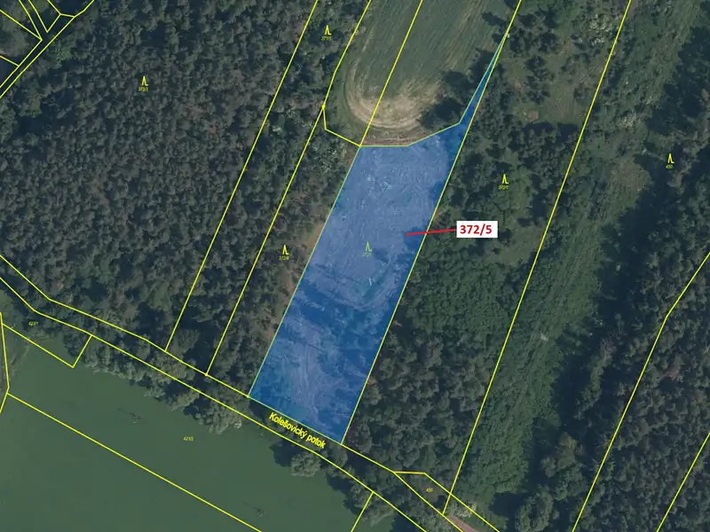 Dražba lesa 7060 m², Přílepy – náhled fotky 2