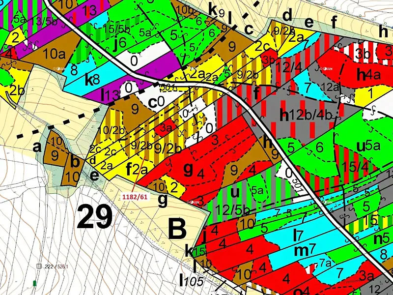 Dražba lesa 11119 m², Přeborov – náhled fotky 3