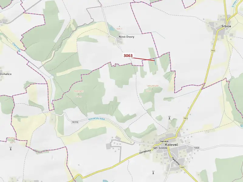 Dražba lesa 703 m², Koloveč – náhled fotky 1