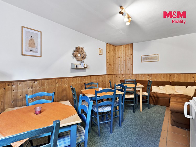 Prodej domu, 341 m² (15 z 30)
