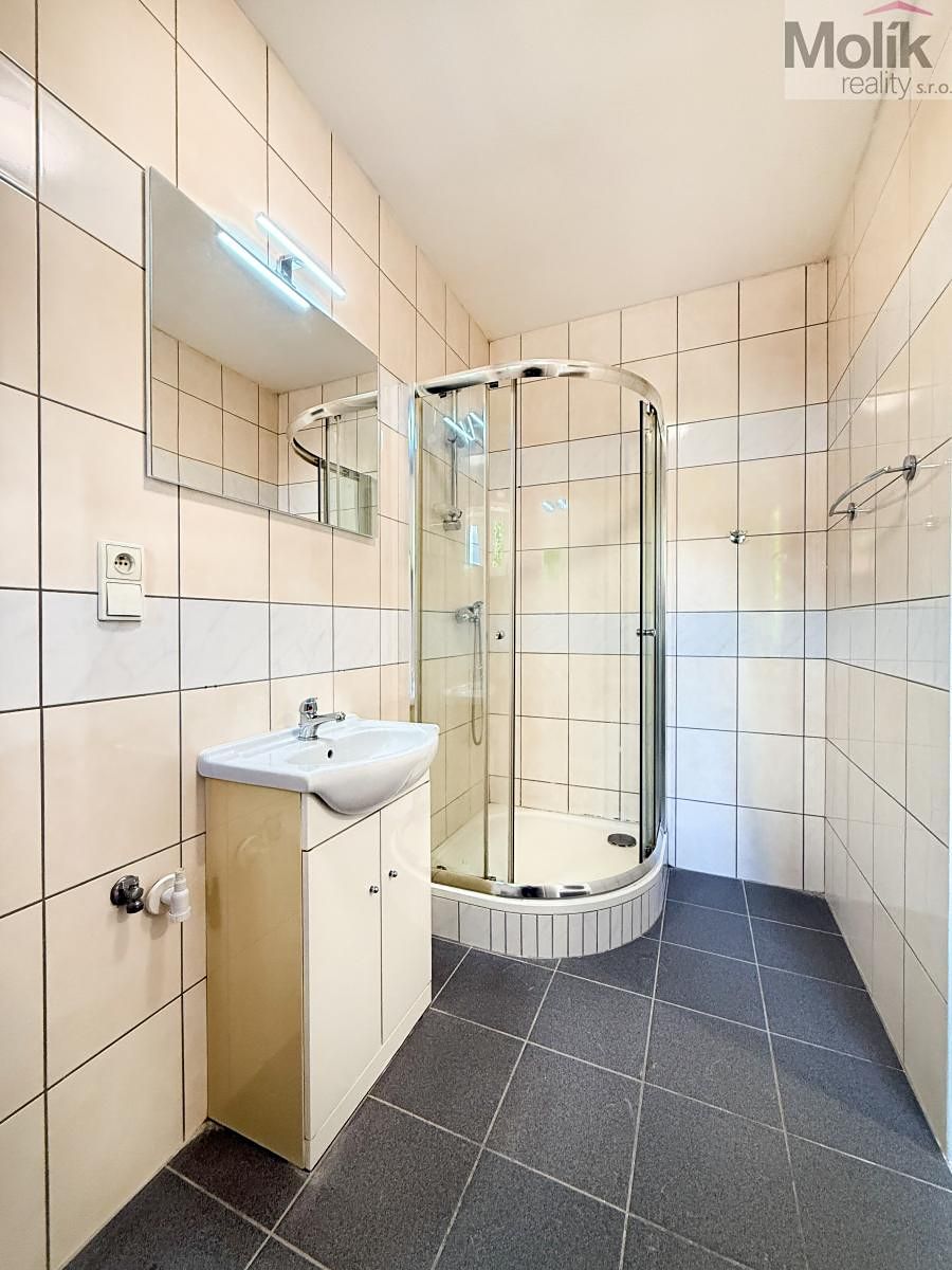 Pronájem bytu 2+1 45 m² – fotografie 5