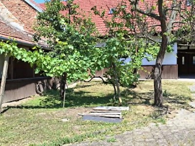 Haus zum Kauf, 350 m² (3 von 42)