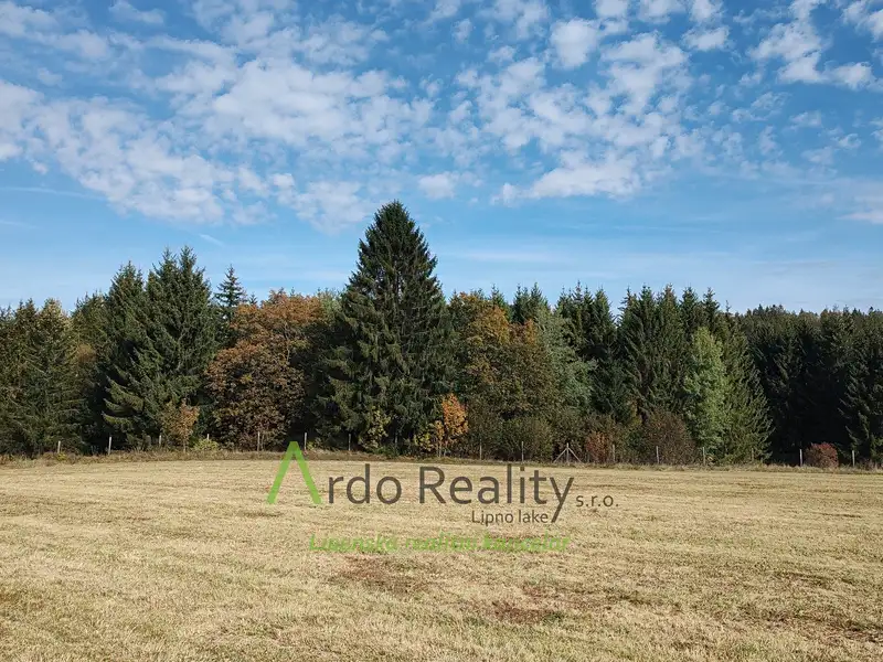 Prodej pozemku 13285 m², Přední Výtoň – náhled fotky 1