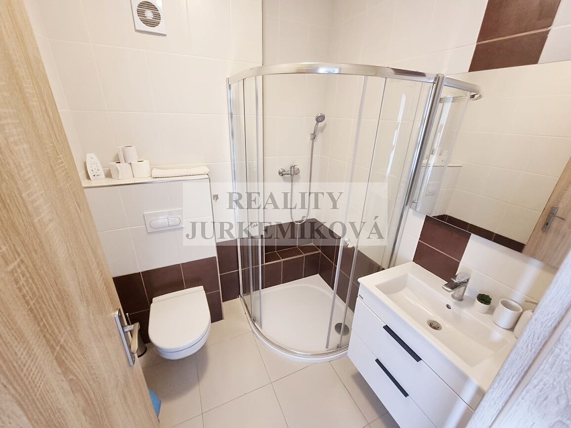 Pronájem vícegeneračního domu 200 m², pozemek 447 m² – fotografie 4