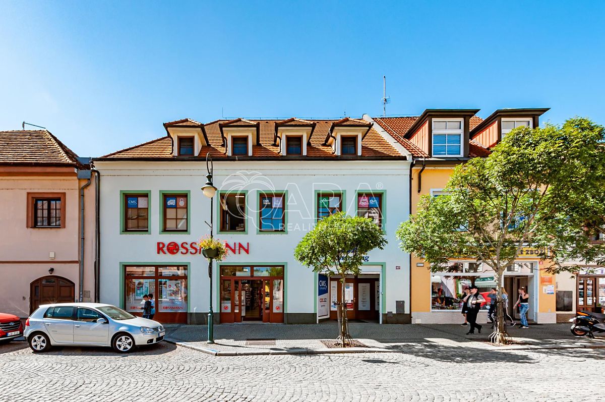 Pronájem bytu 4+kk 230 m² – fotografie 5