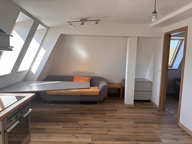 Wohnung 3+kk zur Miete, 60 m² (7 von 21)