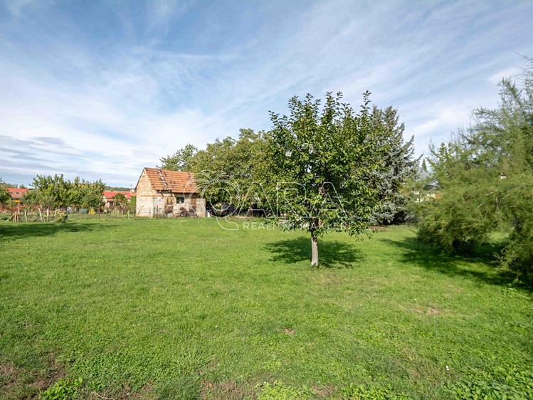 Grundstück zum Kauf, 599 m² (5 von 11)