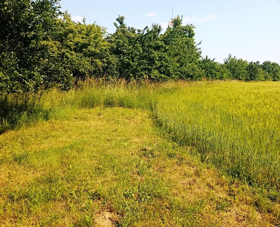 Prodej rodinného domu 100 m², pozemek 600 m² – fotografie 5