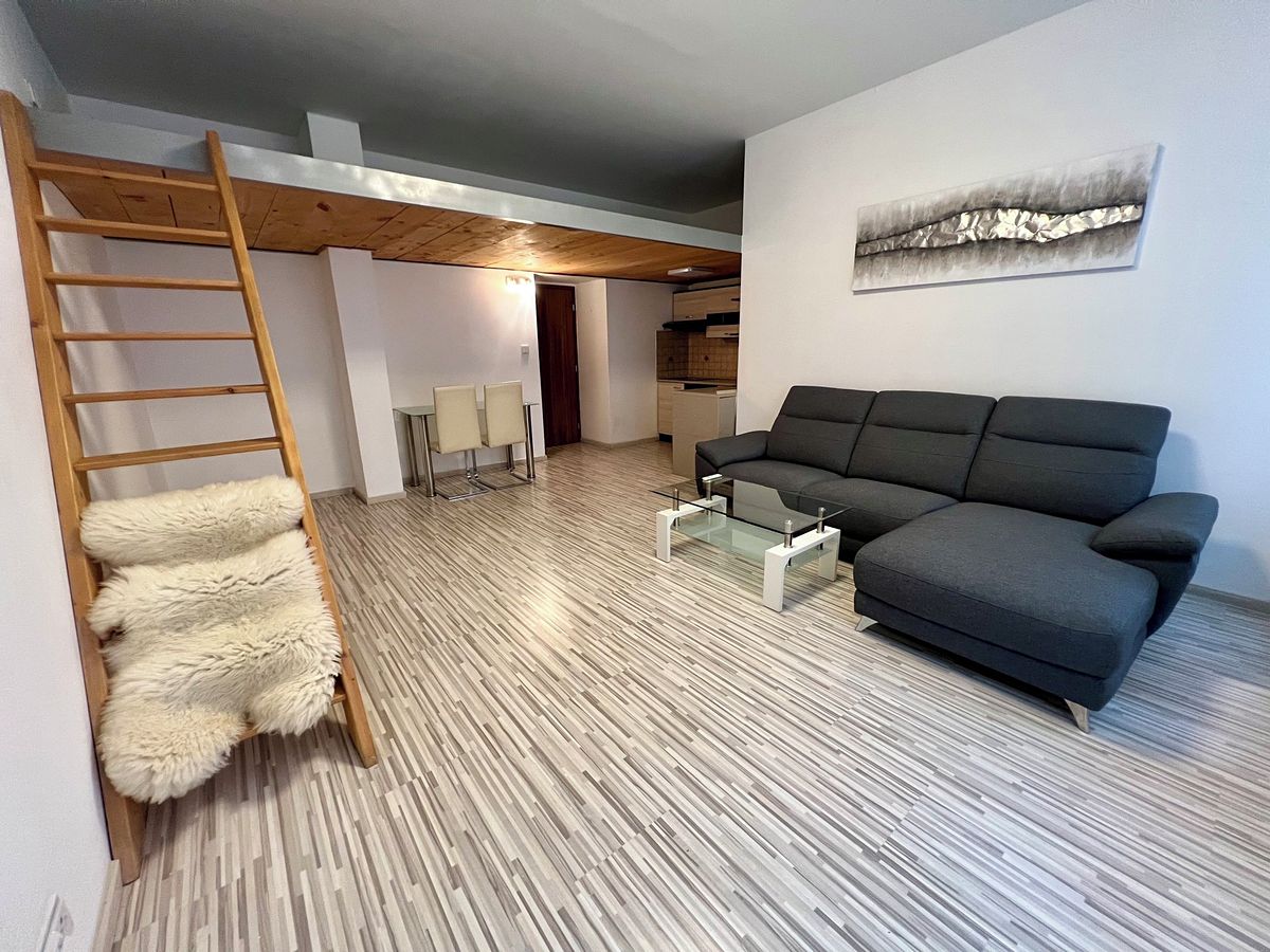 Pronájem bytu 1+kk 37 m²
