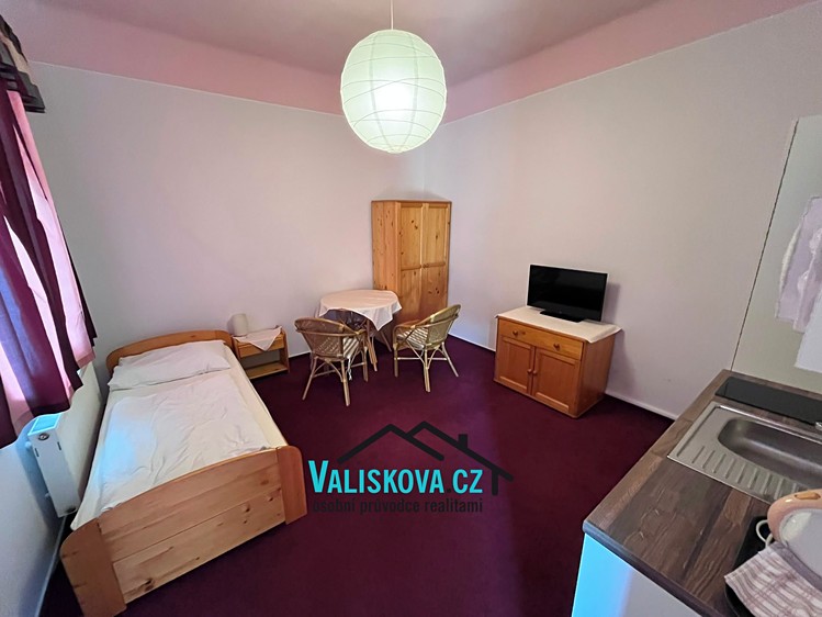 Pronájem bytu 1+kk, 29 m² (5 z 15)