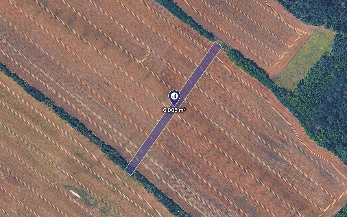 Prodej pole 6005 m²
