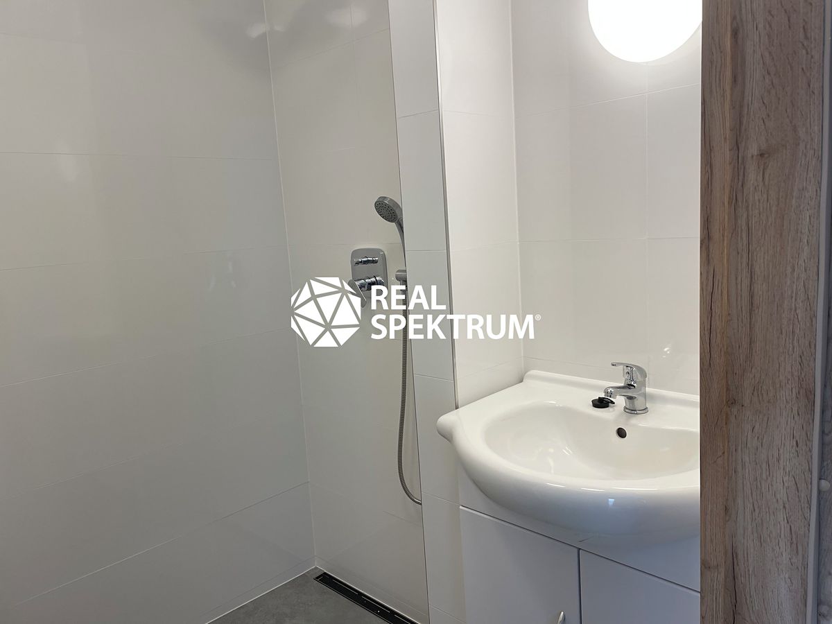 Pronájem bytu 1+kk 36 m² – fotografie 3
