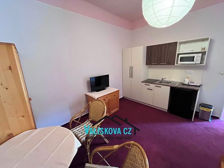 Pronájem bytu 1+kk, 29 m² (4 z 15)