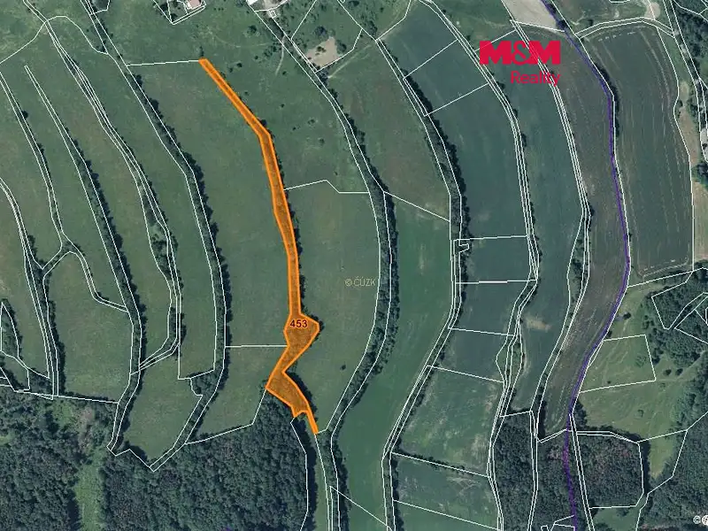 Prodej lesa 13099 m², Žandov – náhled fotky 1
