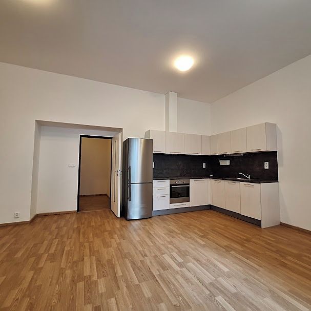 Pronájem bytu 1+kk 45 m²