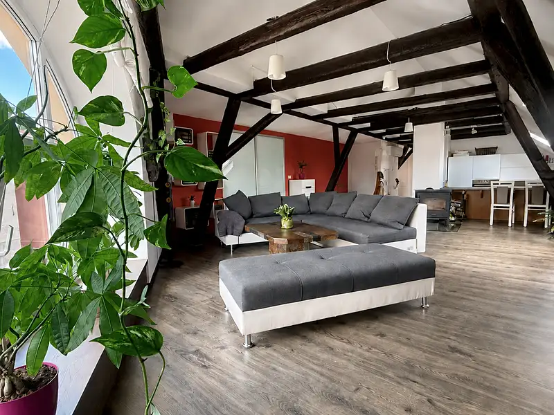 Prodej rodinného domu 346 m², pozemek 229 m², Příbor – náhled fotky 3