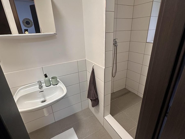 Wohnung 1+kk zur Miete, 33 m² (4 von 7)