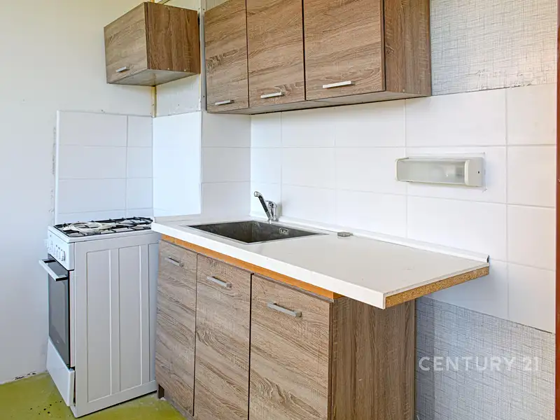 Pronájem bytu 2+1 47 m², Bílina – náhled fotky 1