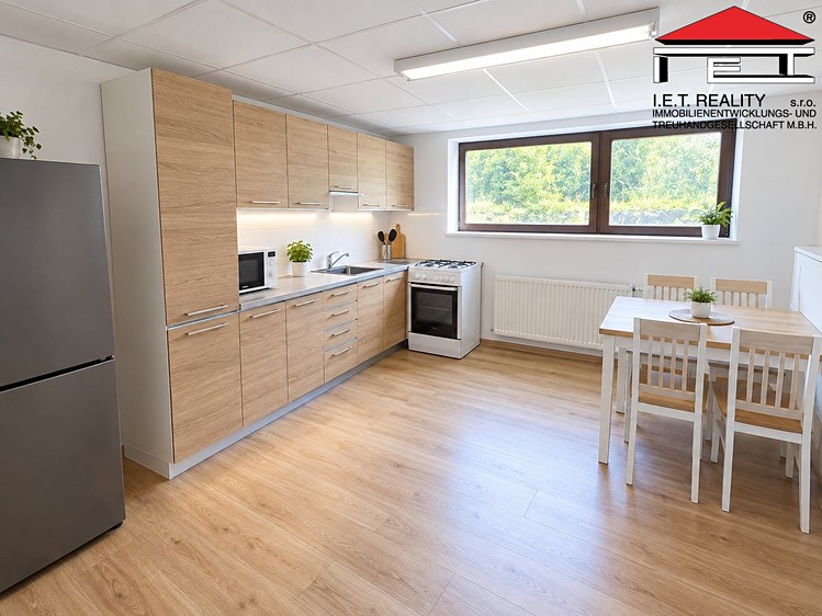Prodej nemovitosti, 250 m² (8 z 23)