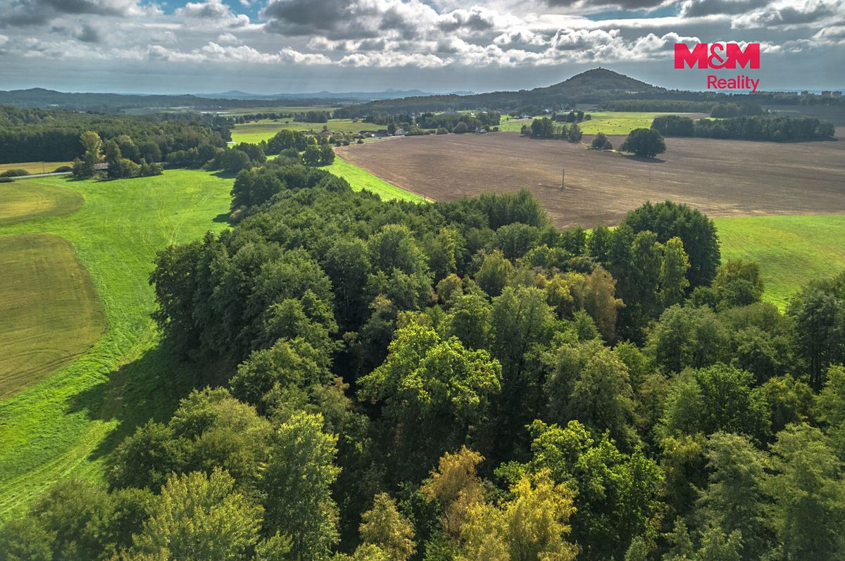 Prodej pozemku 19785 m² – fotografie 3