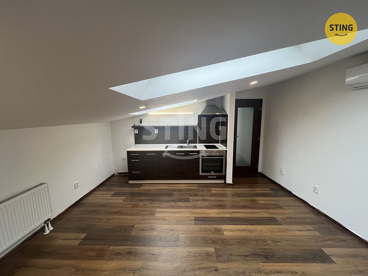 Pronájem bytu 1+kk 47 m² – fotografie 4