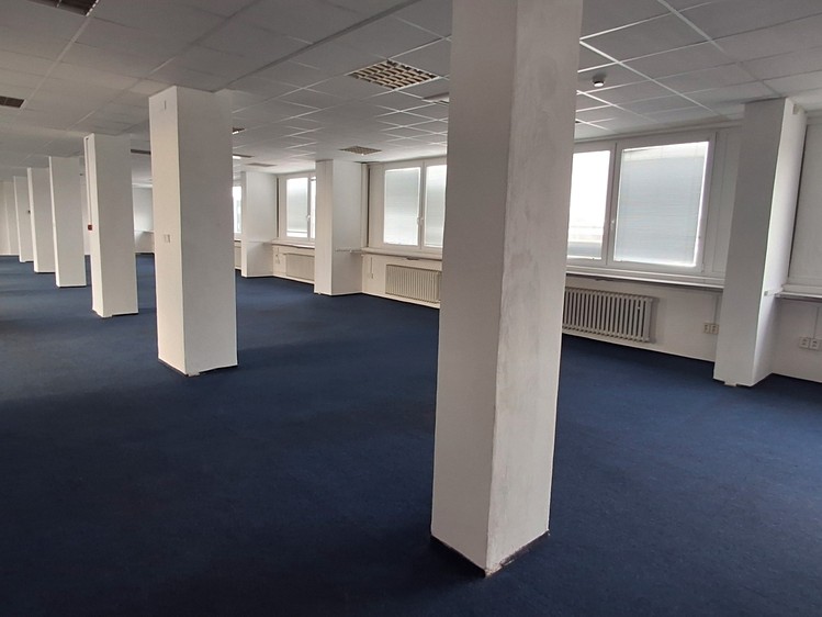 Pronájem komerčního prostoru, 300 m² (2 z 5)
