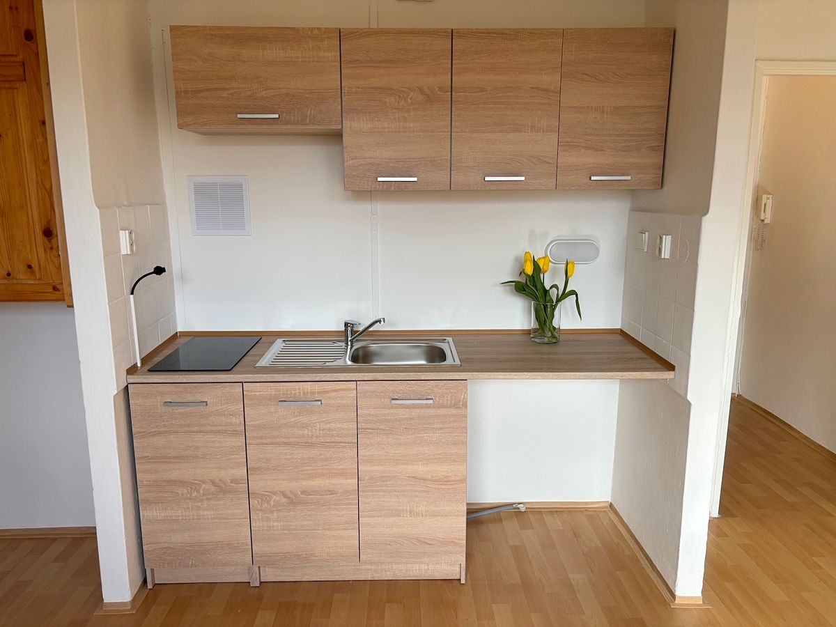 Pronájem bytu 1+kk 29 m²