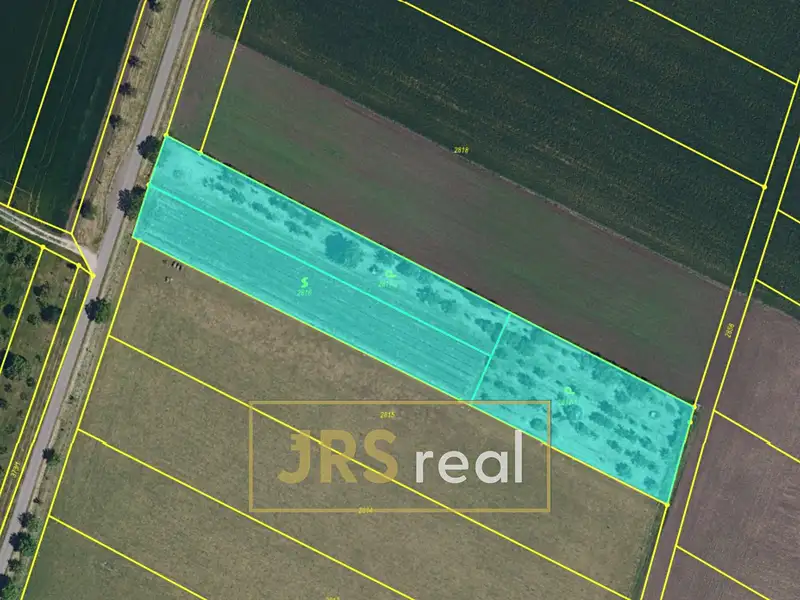 Prodej zahrady 5111 m², Šakvice – náhled fotky 3