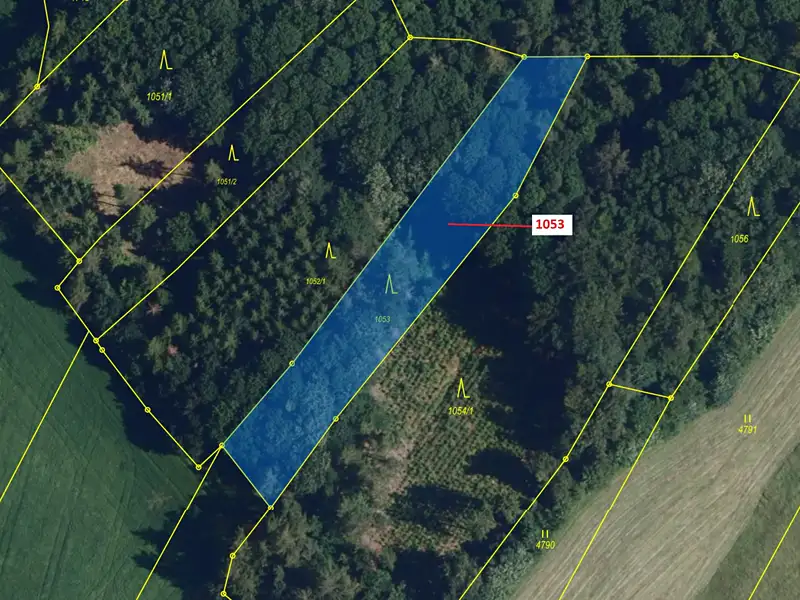 Dražba lesa 1757 m², Deblín – náhled fotky 2