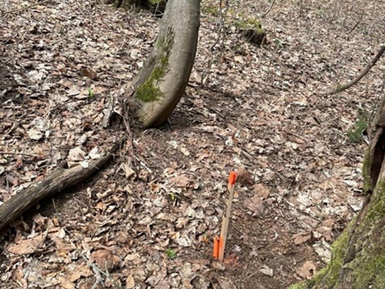 Grundstück zum Kauf, 3.303 m² (12 von 17)