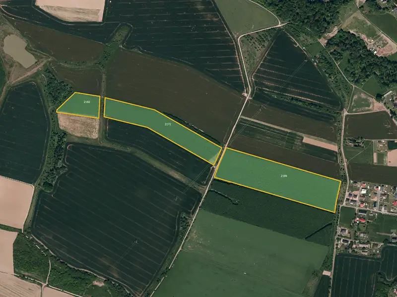 Prodej pole 100211 m², Bravantice – náhled fotky 1