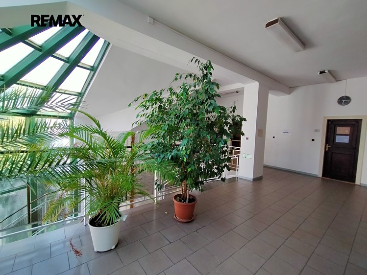 Gewerbefläche zur Miete, 49 m² (8 von 9)