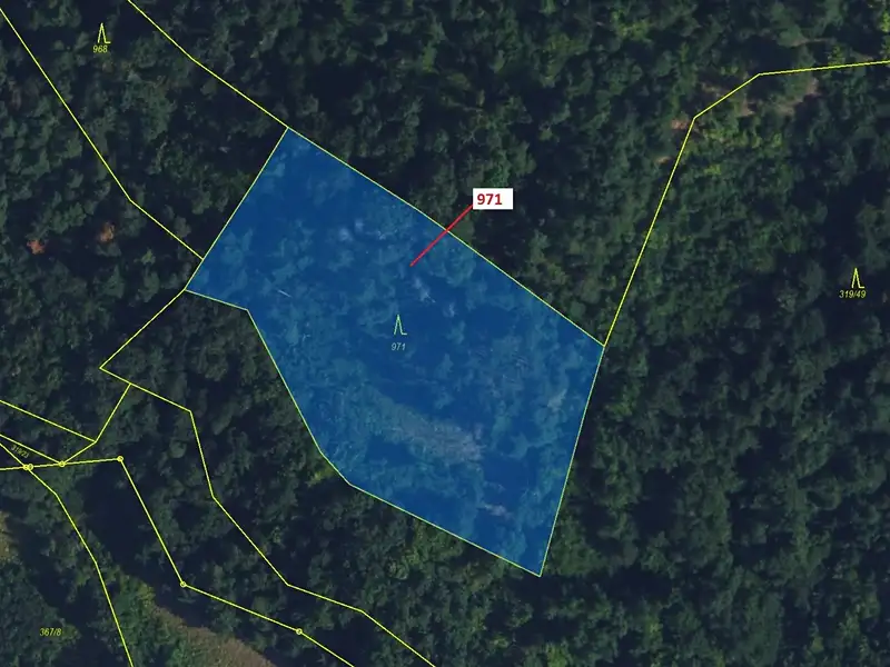 Dražba lesa 4308 m², Lhota Rapotina – náhled fotky 2