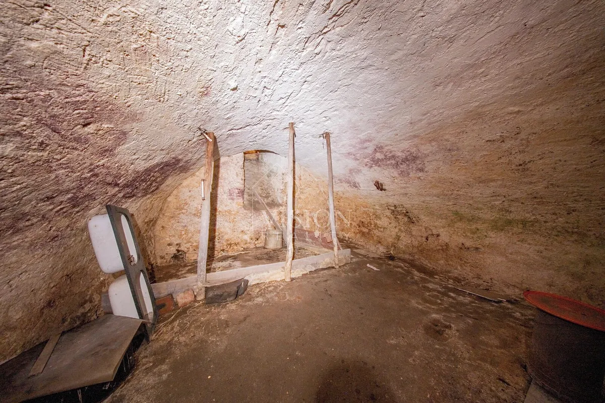 Fotka 28 z 30
