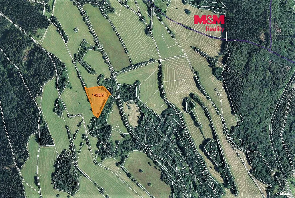 Prodej louky 9131 m²