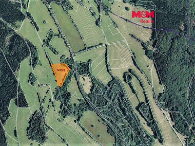 Prodej louky 9131 m²